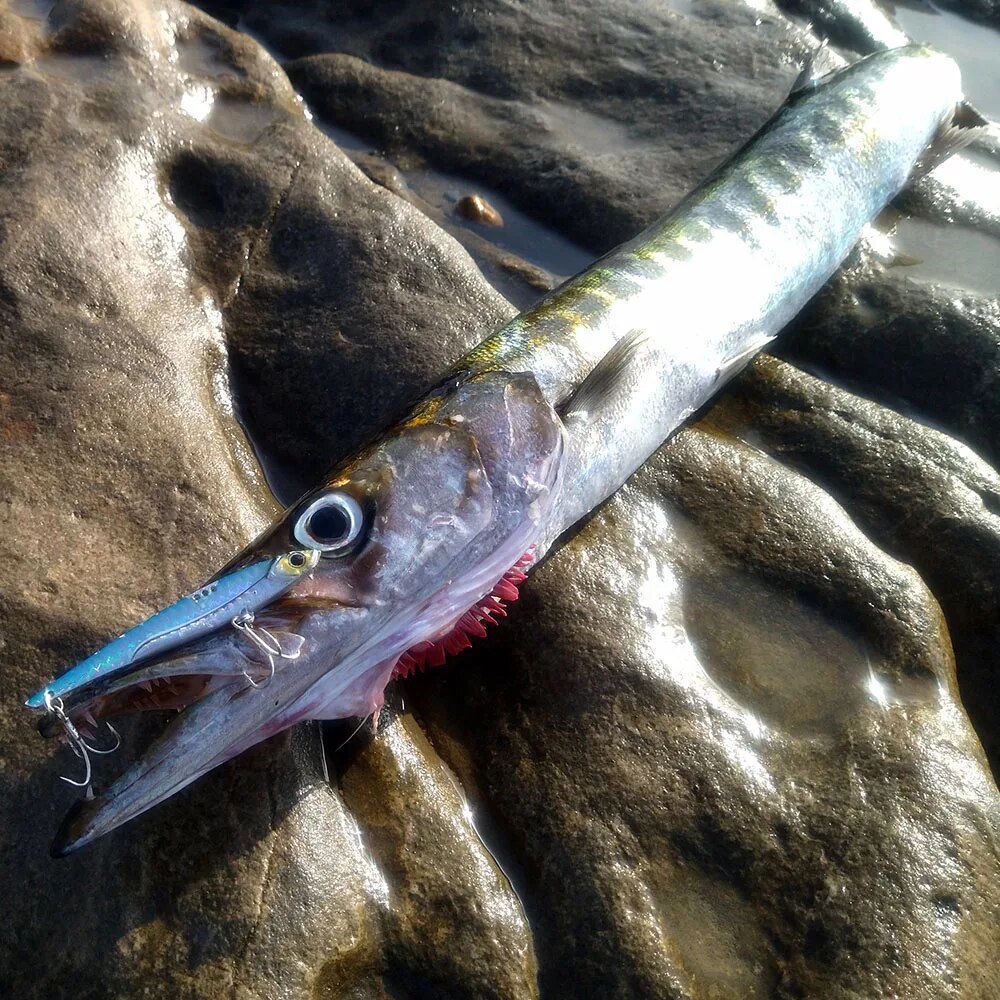GOBAIT VIB Fishing Lure 20g 25 – Fishing Lure Blade Bait recenzja i cena